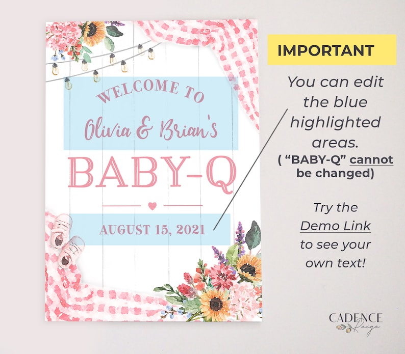 Pu&ograve; includere: Un cartello stampabile per una festa di benvenuto al bambino con sfondo in legno bianco, vichy rosa e blu e dettagli floreali. Il cartello dice "Benvenuti a Olivia & Brian's Baby-Q 15 agosto 2021".