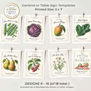 Fresh Off the Market Bridal Shower Banner featuring 18 unique 5x7 hanging signs, each adorned with vibrant fruit and vegetable illustrations and clever love-themed puns. Perfect for adding a fresh, rustic feel to your bridal shower, bachelorette party, or engagement celebration! Hang them all together as a statement piece or scatter them around the venue for a playful touch. Whether displayed indoors or outdoors, this bunting brings a pop of color and a dash of wit to your special day!