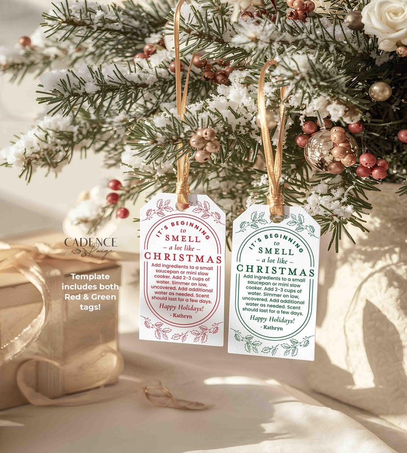 Christmas Potpourri Gift Tag | Simmer Pot Stovetop Potpourri Holiday Scents | Teacher Gift, Neighbor Gift, PRINTABLE DIY Editable Template image 1