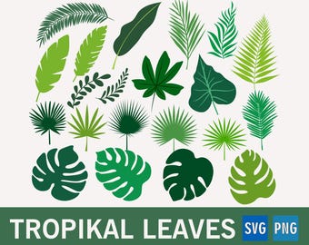 Tropische Blätter SVG, Tropisches Laubblatt, Palmenblatt, Palmenblatt, Monstera Design, Tropische Blätter Silhouette, Tropische Blätter Schnittdateien