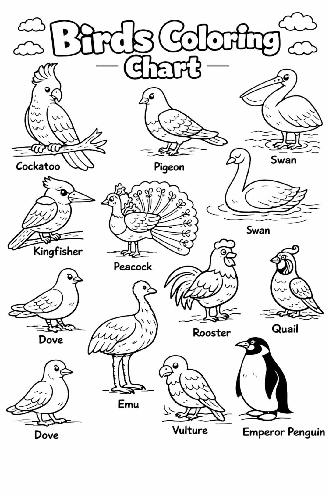 Birds Coloring Chart for Kids – Educational Printable Poster - Etsy
