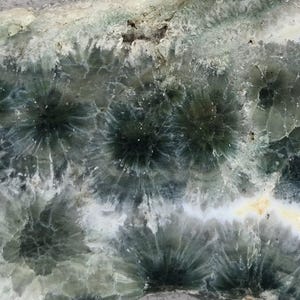 May include: Close-up of a polished stone with a unique pattern. The stone features dark green, radial formations against a backdrop of white and gray hues. The intricate design resembles a series of radiating starbursts.