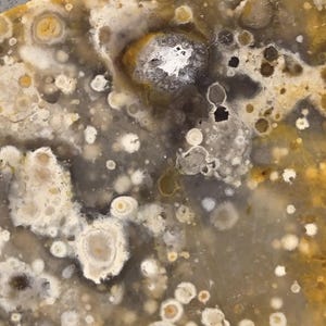 May include: A polished slab of orbicular jasper featuring a complex pattern of circular inclusions in shades of mustard yellow, cream, white, and translucent gray. The stone displays a natural, mottled texture with varied mineral deposits.