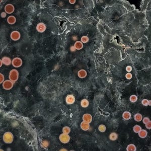 May include: Close-up of a polished stone surface. The stone has a dark green base color with numerous circular patterns in shades of orange, yellow, and white. The patterns vary in size and are scattered across the surface, creating a unique texture.