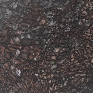 May include: Close-up of a stone surface with a mosaic pattern. The stone features a mix of dark brown, gray, and reddish-brown hues, with black vein-like lines outlining the irregular shapes. The overall texture appears rough and natural.