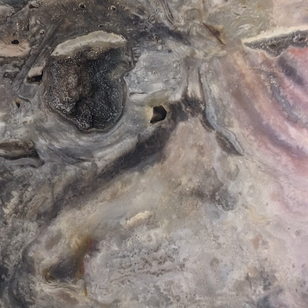 Large Coprolite Petrified Dino Poop Slab RS893