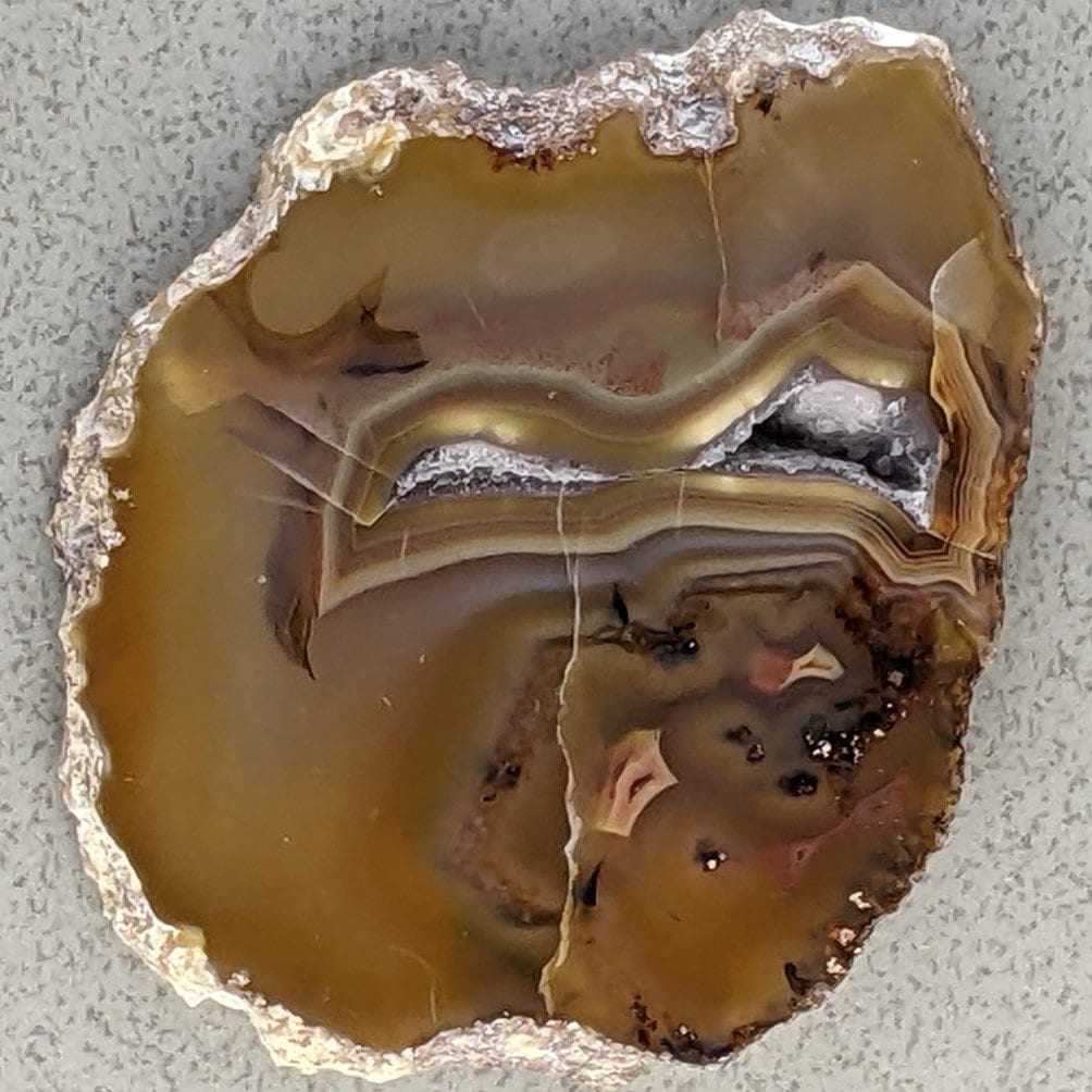 Busy Polished Laguna Agate Slab PS286 - Etsy