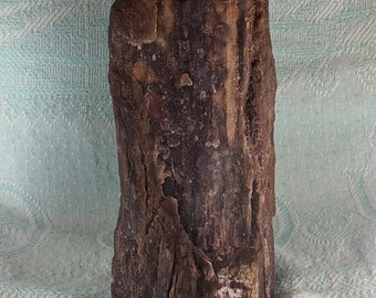 Petrified Wood Specimen PS307