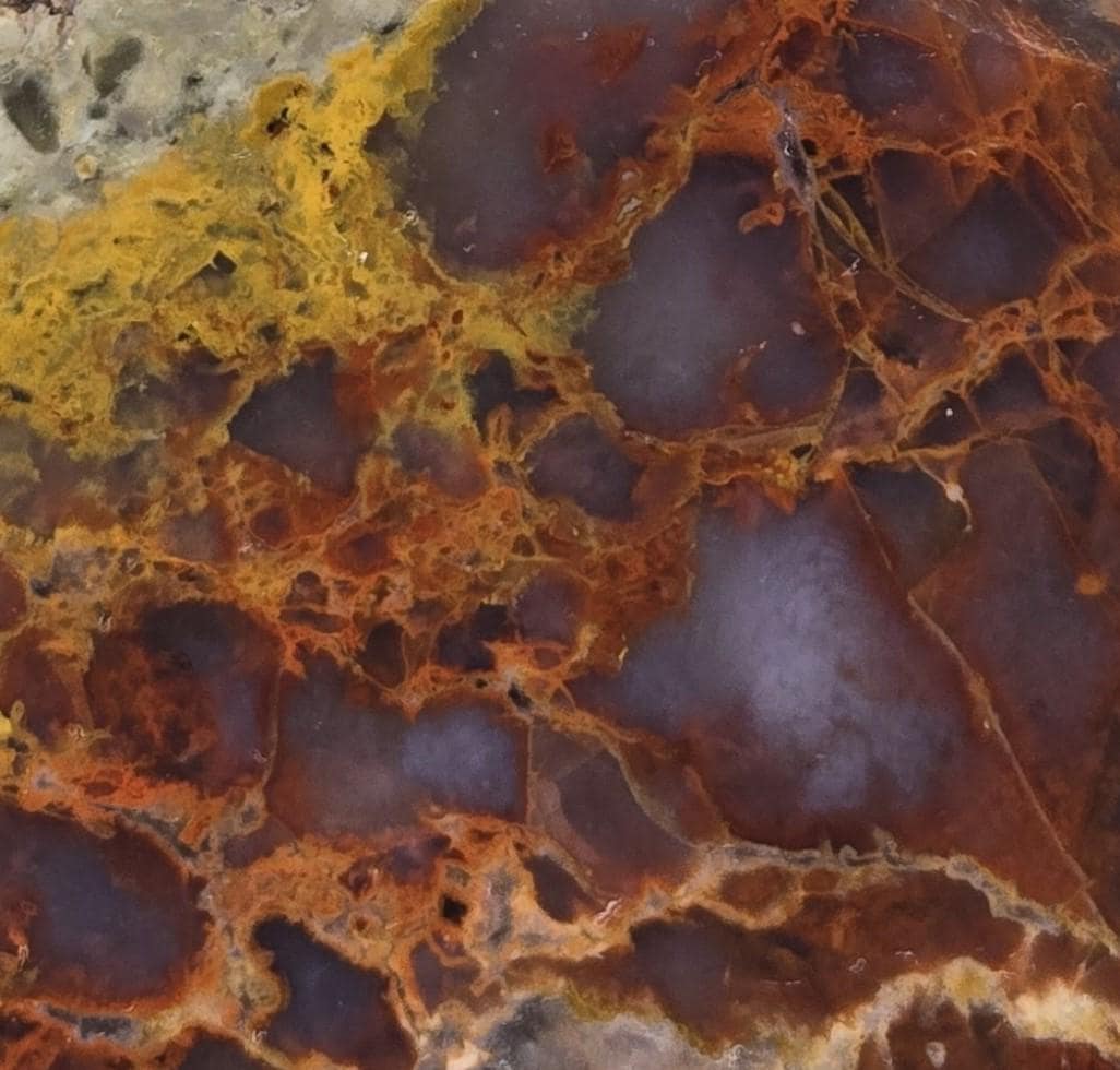 Colorful Monster Moss Agate Slab RS1209