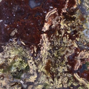 May include: Close-up of a natural stone surface with a complex pattern. The stone features a mix of colors, including deep reds, browns, yellows, and hints of green and gray. The texture appears rough and organic, with swirling and layered formations.