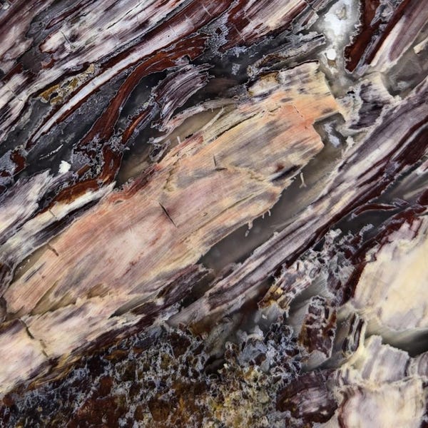 Opalized Wood Slab RS1364