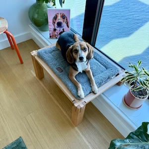 May include: A beagle dog resting on a gray dog bed atop a wooden frame. A framed portrait of the dog is visible behind the dog bed. The dog has brown and black fur with white markings. The bed is placed near a window with a view of the water.