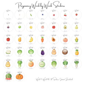 Könnte beinhalten: Ein Bogen mit Schwangerschafts-Wochenstickern, die jeweils eine Aquarellillustration einer Frucht oder eines Gemüses zeigen. Die Sticker sind in einem Raster angeordnet, mit den Wochen von 4 bis 40 beschriftet. Der Text "Pregnancy Week by Week Stickers" steht oben.