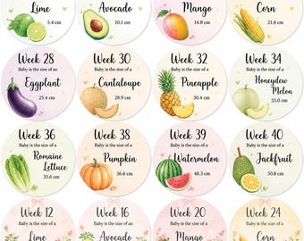 Printable Pregnancy Belly Stickers | Weekly Baby Fruit Size Milestones (Weeks 4–40)