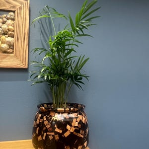 May include: A houseplant with long green leaves in a decorative, dark brown pot with a mosaic pattern of light brown wood pieces. The pot sits on a light-coloured wooden base, placed on a wooden surface against a blue wall.