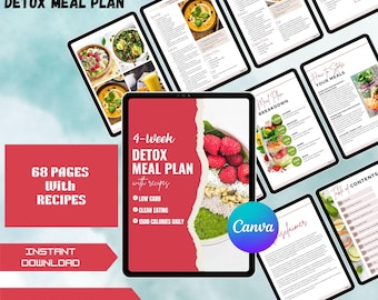 28-Tage Detox Meal Plan - Low Carb Rezepte, zum Ausdrucken (DFY PLR, MRR)