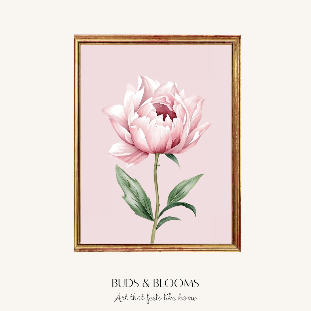 Blush Peony Wall Art Printable, Pink Floral Nursery Decor, Botanical ...