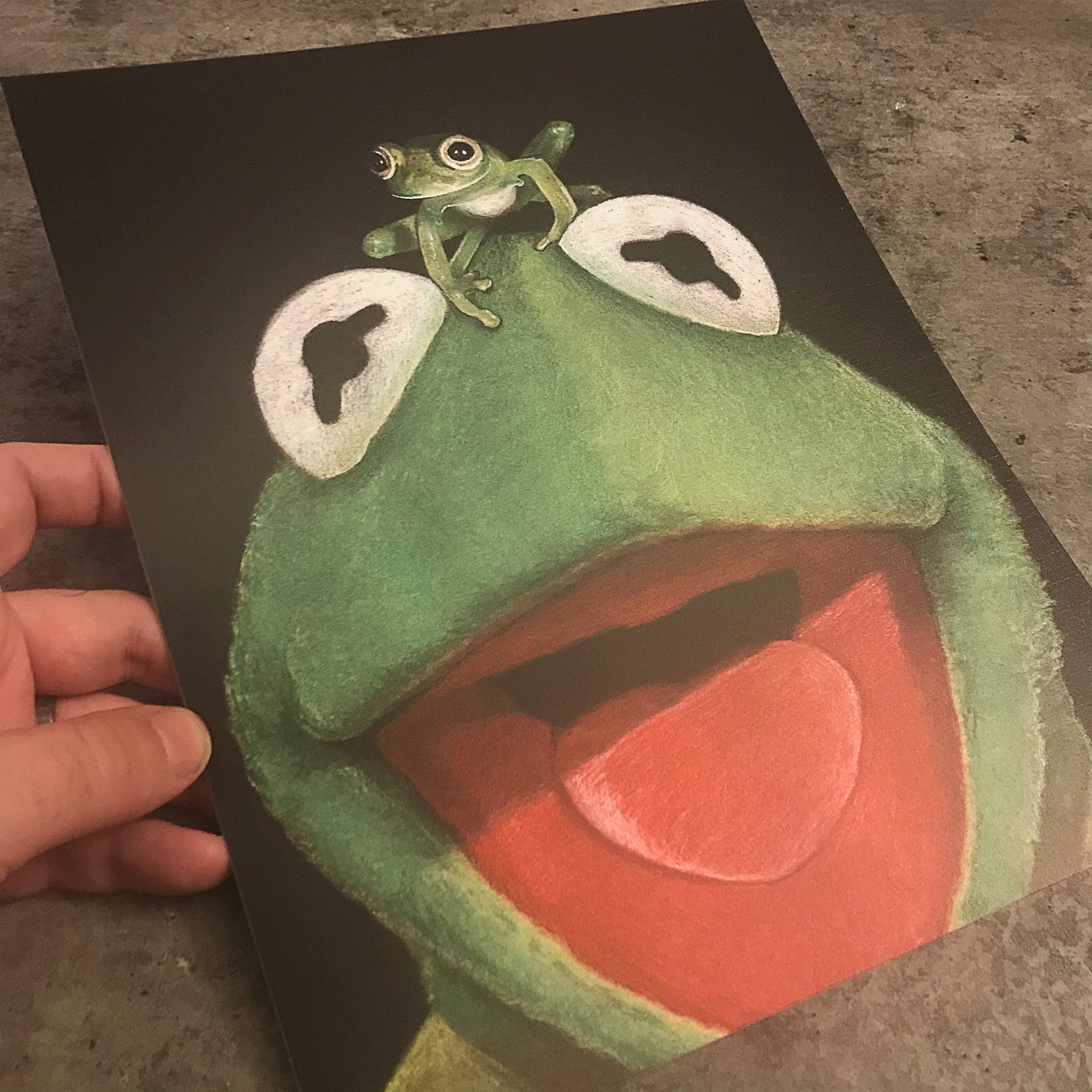 KERMIT AND FROG 8 1/2