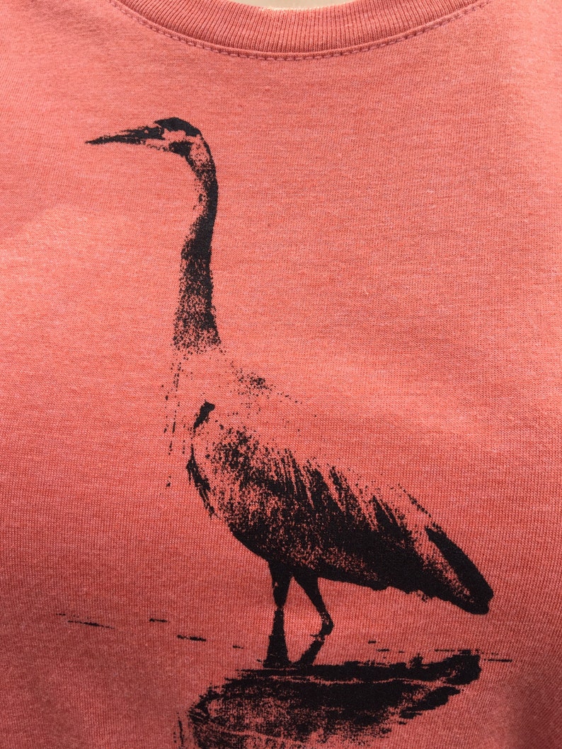 Oregon Coast Animals Great Blue Heron Heron Wildlife Birds