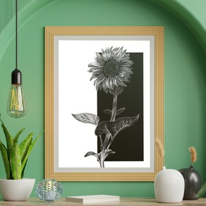 Sunflower Digital Print, Botanical Black and White Print