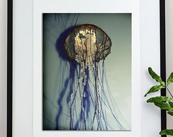 Jellyfish Tentacles Distressed Photography Art Print, Marine Photo Beautiful Macro Jelly Fish
