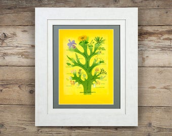 Original 1952 Floral Art Print - Vintage flower illustration of Ancestral Protophyta