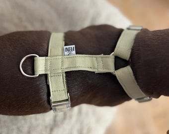 Khaki dog harness made of cotton fabric – Handmade & Adjustable – Buckle in gold or silver