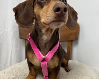 Pink corduroy dog harness – Handmade & Adjustable – Buckle in Gold or Silver