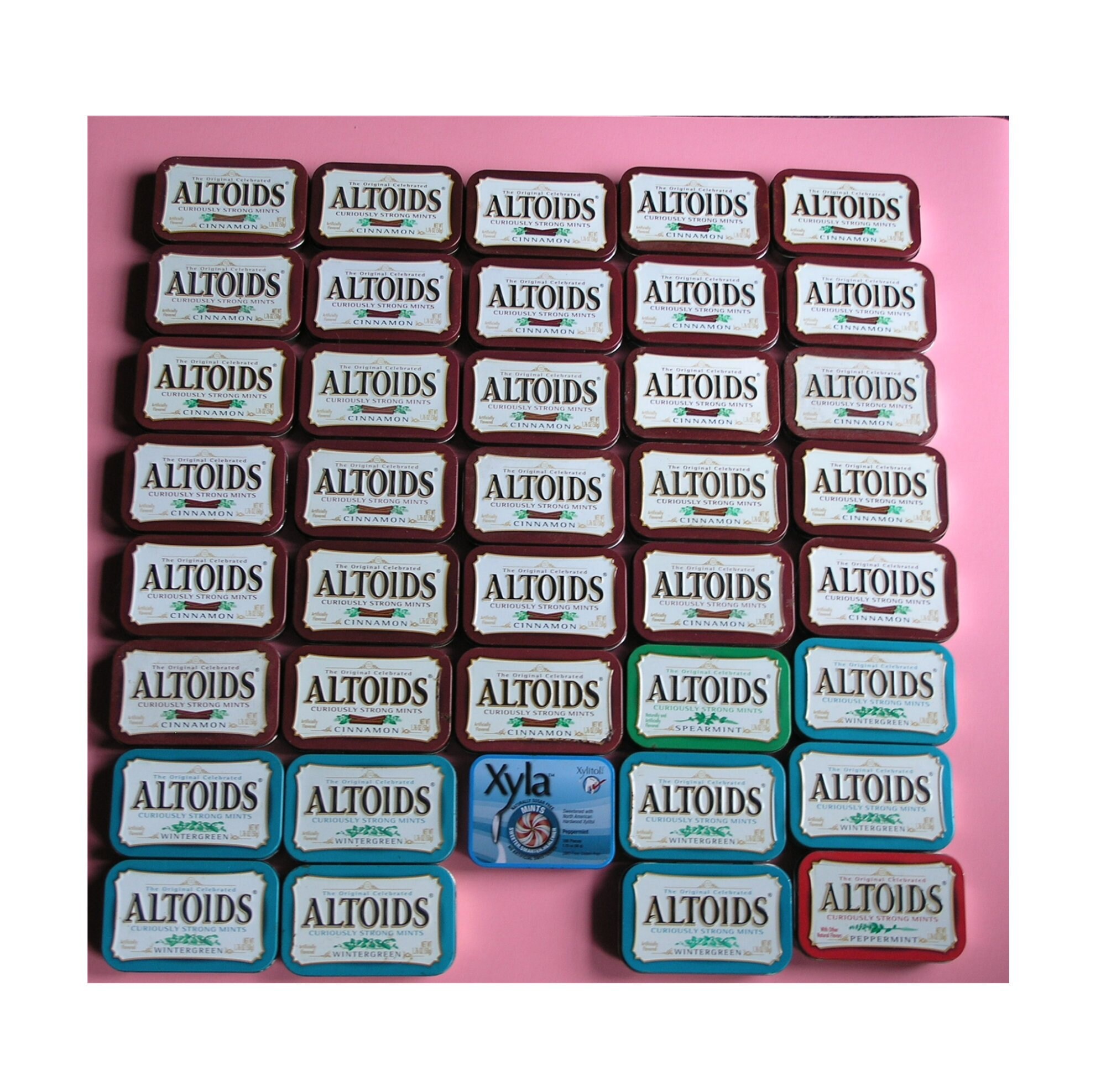 3D Printed Organizer for Altoid Tin Portable Storage With 8 Compartments 