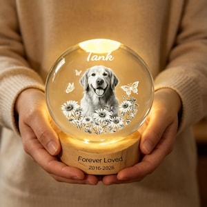 May include: A lit glass sphere featuring a Golden Retriever portrait, daisies, and butterflies. The sphere rests on a wooden base inscribed with "Forever Loved 2016-2026" and the name "Tank". The sphere is illuminated from within.