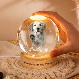 Può includere: Una sfera di vetro trasparente con un'immagine 3D di un cane, con la scritta "Lucky". La sfera poggia su una base di legno con la scritta "Forever in my heart". Una luce calda brilla dalla parte superiore della sfera.