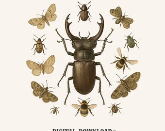 vintage stag beetle png natural digital download gift for nature lovers entomologists hand drawn insect t-shirt graphic scientific