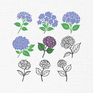 May include: Nine hydrangea flower illustrations in various styles. The flowers are in shades of blue, purple, and black and white. Each flower has green leaves and stems. The background is a textured white.