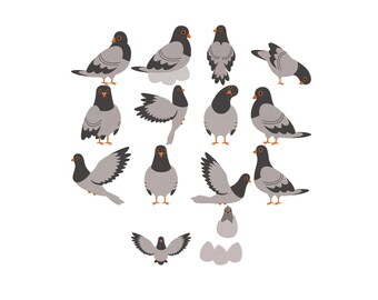 Pigeon Embroidery Design, Realistic Rock Dove Bird Embroidery, Urban Nature Decor Pigeon Machine Embroidery Design Files, 6 Sizes
