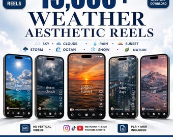 15000+ Luxury Aesthetic Weather Faceless Reels | Viral Instagram & TikTok Videos | PLR + MRR Resell Rights | DFY Digital Marketing, Mrr plr
