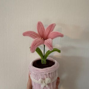 Handmade pipe cleaner fuzzy wire craft plant pots