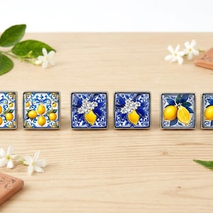 May include: Six square cabinet knobs arranged in a row, each featuring a distinct blue and white ceramic-style pattern with yellow lemon illustrations and green leaves, set within a silver-toned metal frame with a smooth, reflective finish.