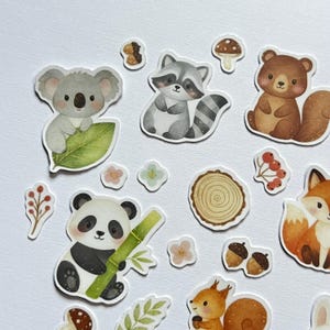 May include: A collection of whimsical animal stickers featuring a koala, raccoon, bear, panda, fox, and squirrel. The stickers are in various shapes and sizes, with a white border. Additional stickers include mushrooms, flowers, acorns, and a tree slice.