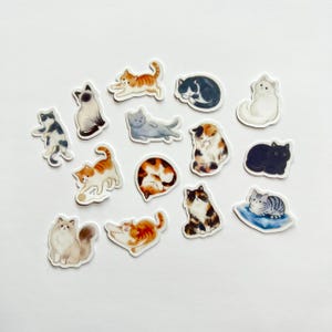 May include: A collection of fifteen individual cat stickers featuring various breeds and poses, including orange tabbies, calicos, solid black, white, and grey cats in sitting, sleeping, and playing positions with detailed watercolour-style illustrations.