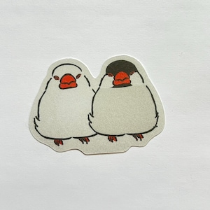 Puede incluir: Una pegatina con dos pájaros estilizados uno al lado del otro. Los pájaros tienen cuerpos blancos, cabezas negras y picos y patas de color naranja brillante. La pegatina tiene un borde gris claro y está sobre un fondo blanco.