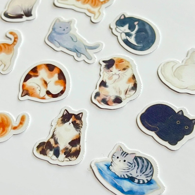 May include: A collection of die-cut stickers featuring various cat illustrations, including a calico cat, a black cat, a grey tabby cat on a blue cushion, a long-haired tortoiseshell cat, and several other feline figures in different poses.