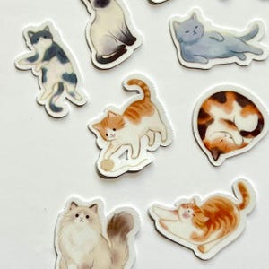 May include: A collection of seven die-cut stickers featuring various cat illustrations, including a grey cat, a Siamese cat, a calico cat curled in a circle, an orange tabby playing with yarn, a long-haired cream cat, and a stretching orange tabby.