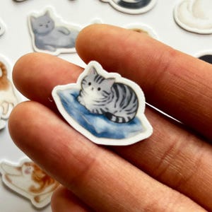 May include: A die-cut sticker featuring a small, grey and white tabby cat with dark stripes resting on a soft, blue cushion. The cat has a rounded face, small ears, and a neutral expression. The sticker has a white border and a smooth finish.