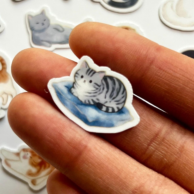 May include: A die-cut sticker featuring a small, grey and white tabby cat with dark stripes resting on a soft, blue cushion. The cat has a rounded face, small ears, and a neutral expression. The sticker has a white border and a smooth finish.