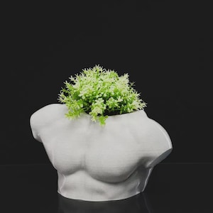 May include: A white bust-shaped planter with a detailed torso design. The planter holds a cluster of small, light green plants. The background is a solid black, highlighting the white planter and the greenery.