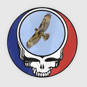 May include: A circular graphic featuring a stylized skull with a red and blue border. Inside the circle is a light blue background with a hawk in flight. The hawk has brown and white patterned wings.