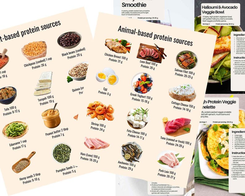Menu Protein Rotation High Protein Meal Plan With Visual Charts and Bonus Recipes, Digital ...