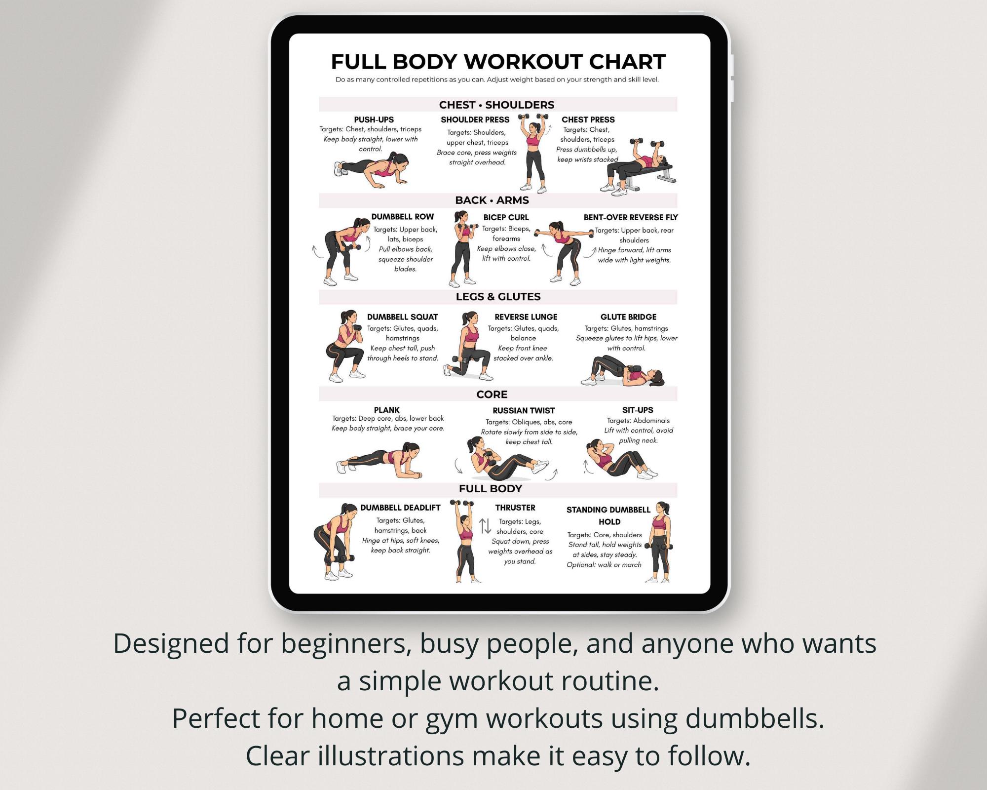Full Body Workout Chart, Dumbbell Exercise Guide Printable PDF - Etsy