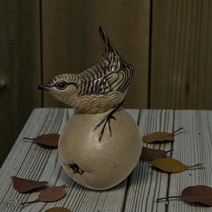 Può includere: Una statuetta di uccello in ceramica con un motivo a strisce dettagliato sulla schiena e sulla testa, appollaiata su una base beige a forma di mela. Il becco dell'uccello è appuntito e il suo occhio è visibile. La statuetta è circondata da foglie cadute.