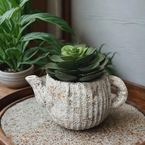 May include: A decorative, textured, off-white teapot-shaped planter with a dark green succulent. The planter has a handle and spout. The succulent has multiple layers of green leaves. The planter sits on a tray with a light-colored, granular surface.